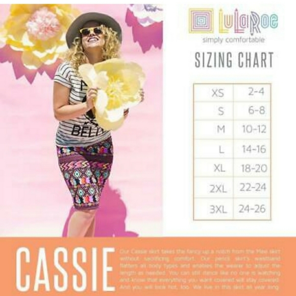 Pencil skirt, never worn, can fit 2XL- 3XL - Picture 5 of 5